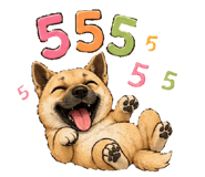 856380066