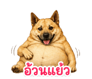 856380083