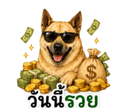 856380084