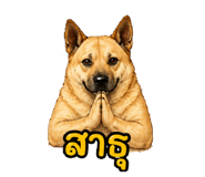 856380086