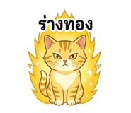 856381378