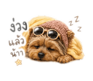 856382925