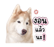 856383114