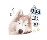 856383119