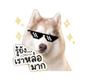 856383122