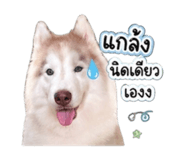 856383123