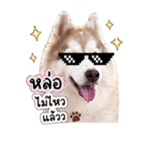 856383124
