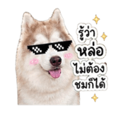856383125