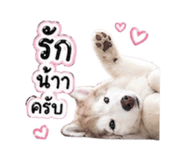 856383142