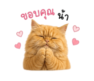 856383835