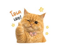 856383836