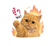 856383839