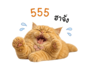 856383840