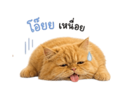 856383845