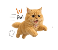 856383848