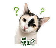 856385660