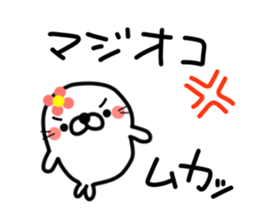 8563981