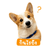 856404860