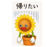 856413339