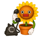 856413365