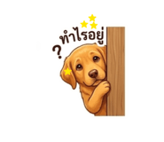 856413639