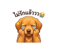 856413641