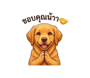856413642