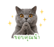 856413680