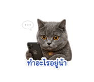856413694