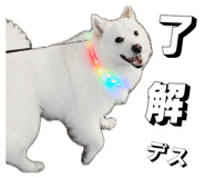 856413795