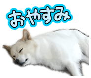 856413808