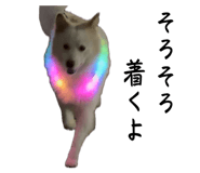 856413809