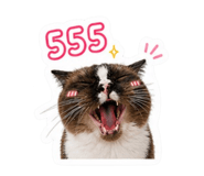 856413881