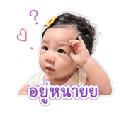 856413897
