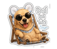856416467