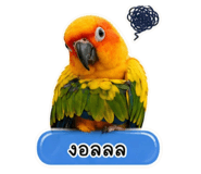 856417474