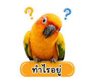 856417477