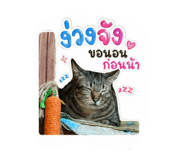 856417726