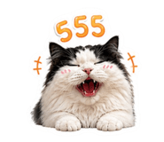 856419867