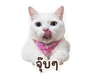 856420187