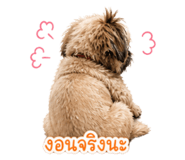 856422165