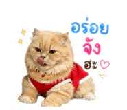 856422320