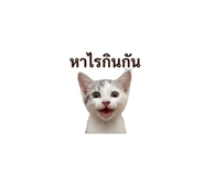 856422873