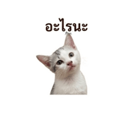 856422875