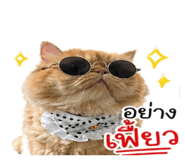 856423070