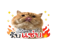 856423071