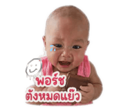 856424550