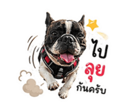 856424677