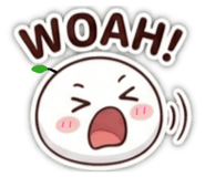856425934