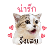 856426815